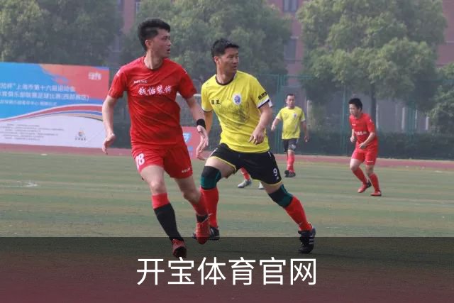 开宝体育官网公司介绍